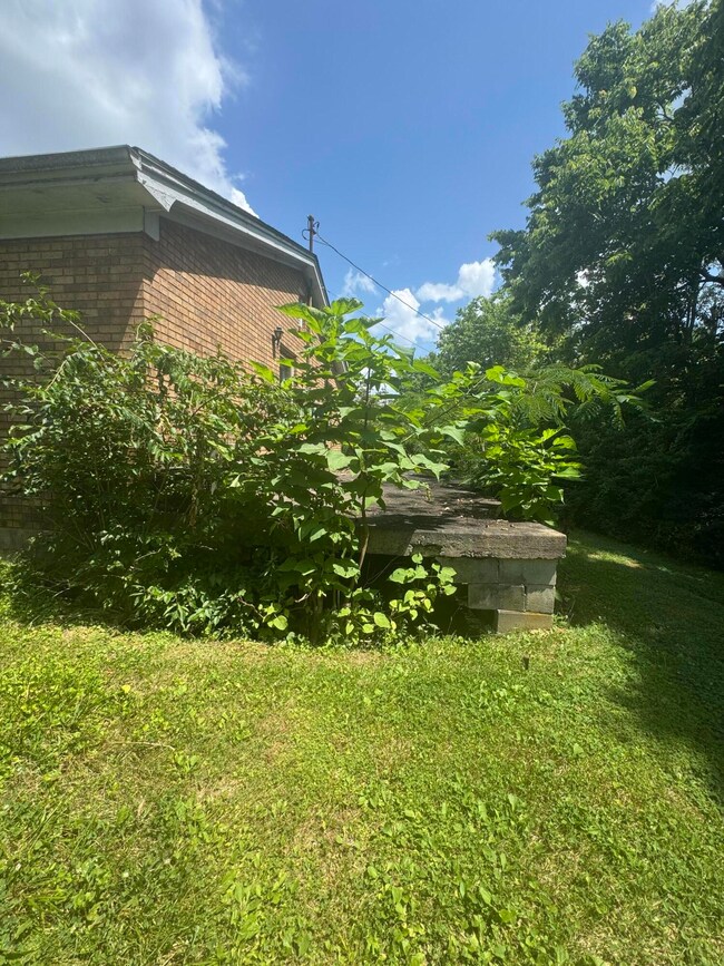 852 Fuzzy Duck Rd, Lancaster, KY 40444 - photo 6