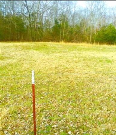 1019 Tennessee 64, Shelbyville, TN 37160 - photo 4