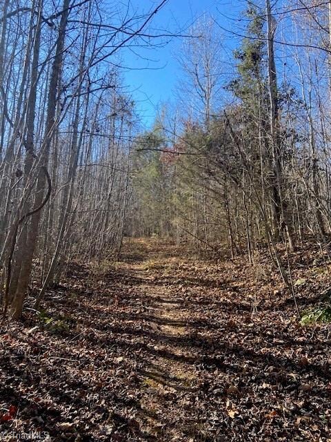Multiple cleared paths to walk property