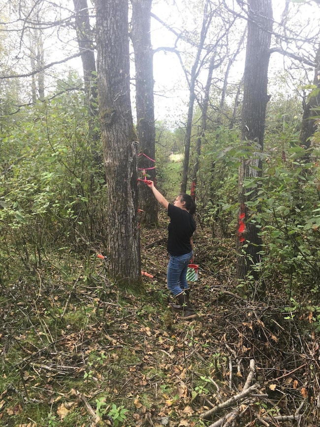 L9 Rivers Edge, Wrangell, AK 99929 - photo 6