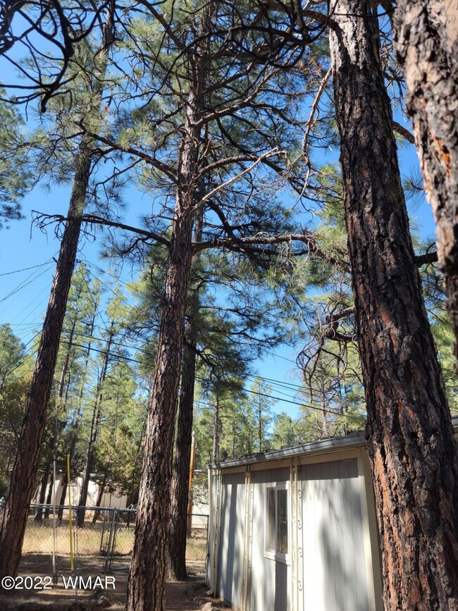 More trees