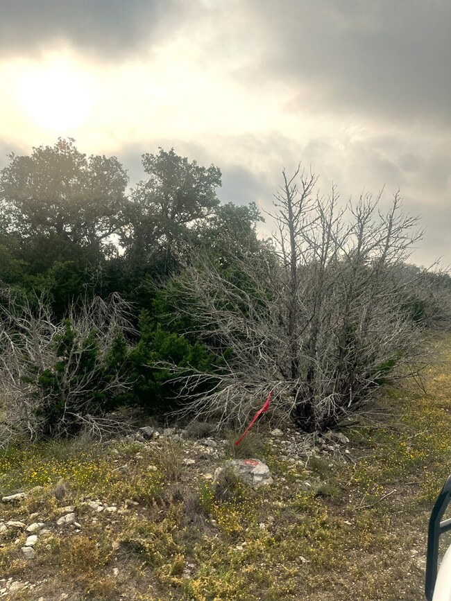 1485 Other unit 2, Rocksprings, TX 78880 - photo 5