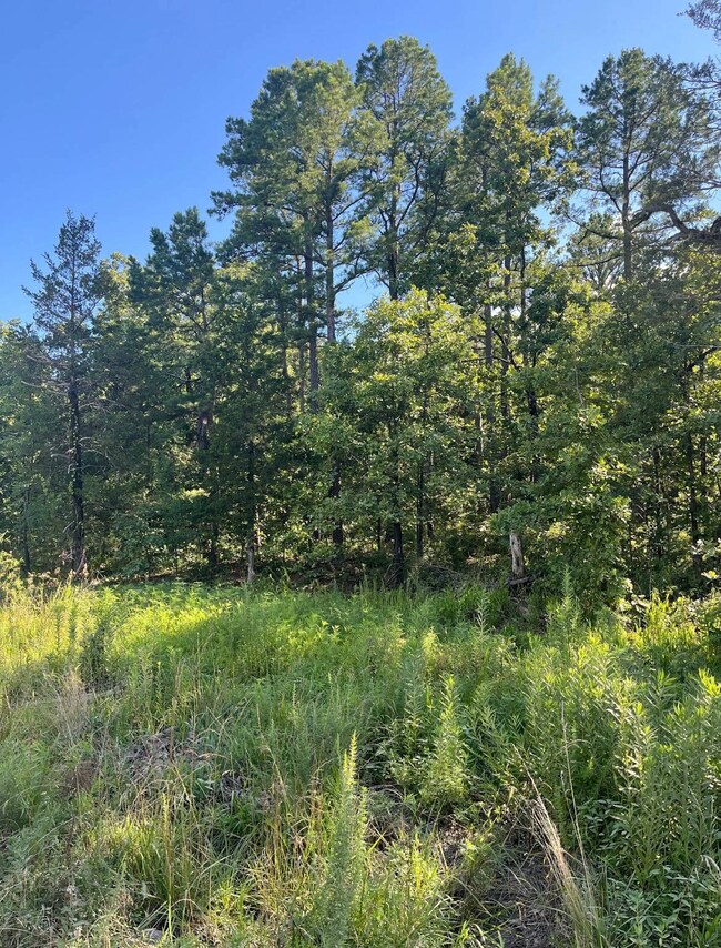 Tract 4 SE 1083 Road Ave, Red Oak, OK 74563 - photo 4