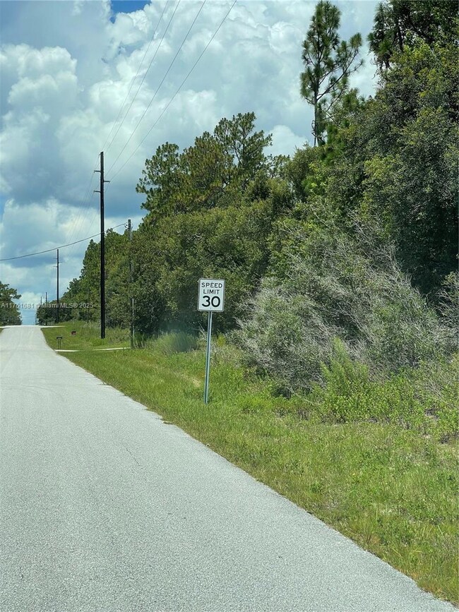 tbd SW 59th Ln, Dunnellon, FL 34431 - photo 6