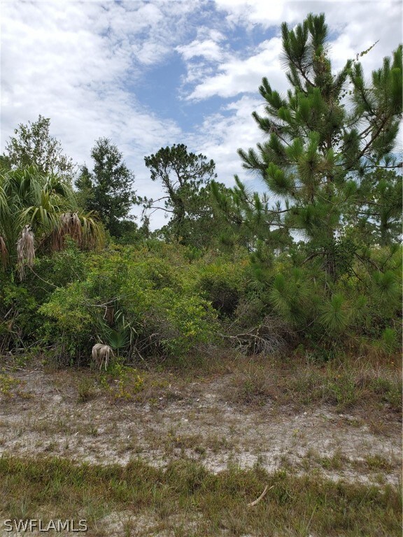 3313 51st St W, Lehigh Acres, FL 33971 - photo 2