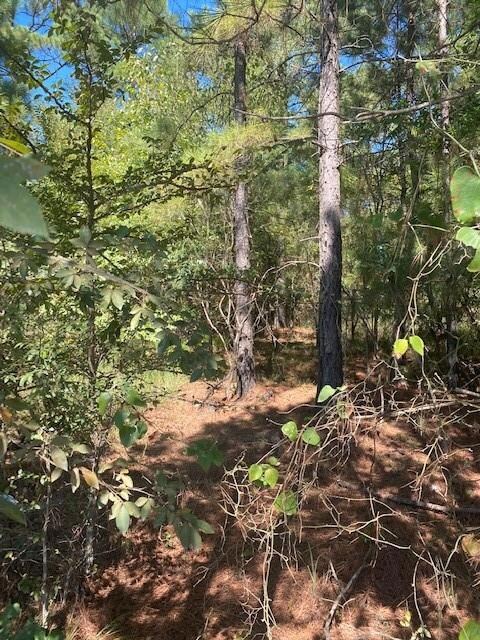 11 Sweet Elm Ln, Broken Bow, OK 74728 - photo 7