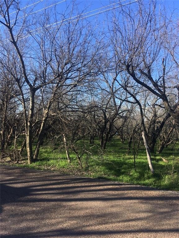 4712 County Road 1022, Joshua, TX 76058 - photo 6