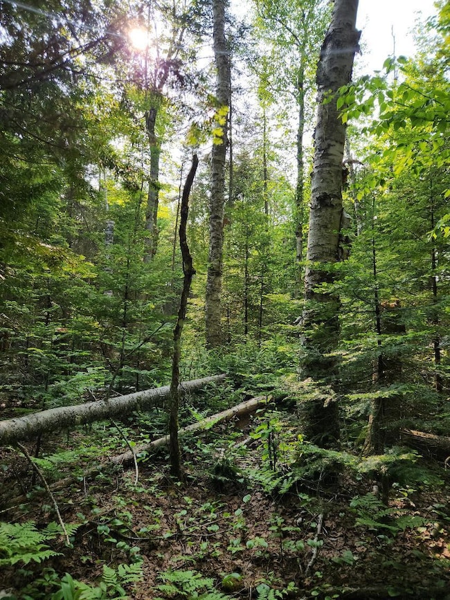 0 W Cedar Dr unit 24-1105, Sault Ste Marie, MI 49783 - photo 5