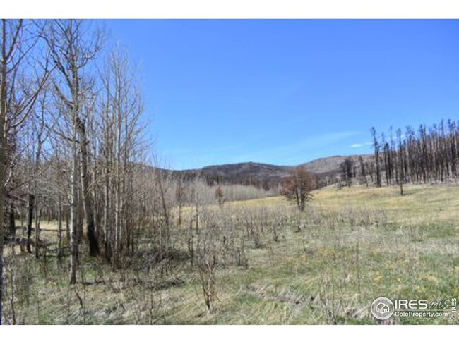0 Greer Rd unit 966449, Bellvue, CO 80512 - photo 6