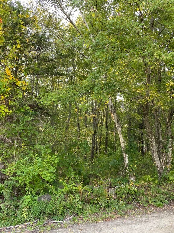 0 Coy Hill Rd unit 72895526, Warren, MA 01083 - photo 2