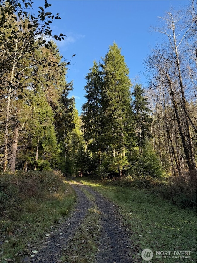 70 Dionne Ln, Naselle, WA 98638 - photo 6