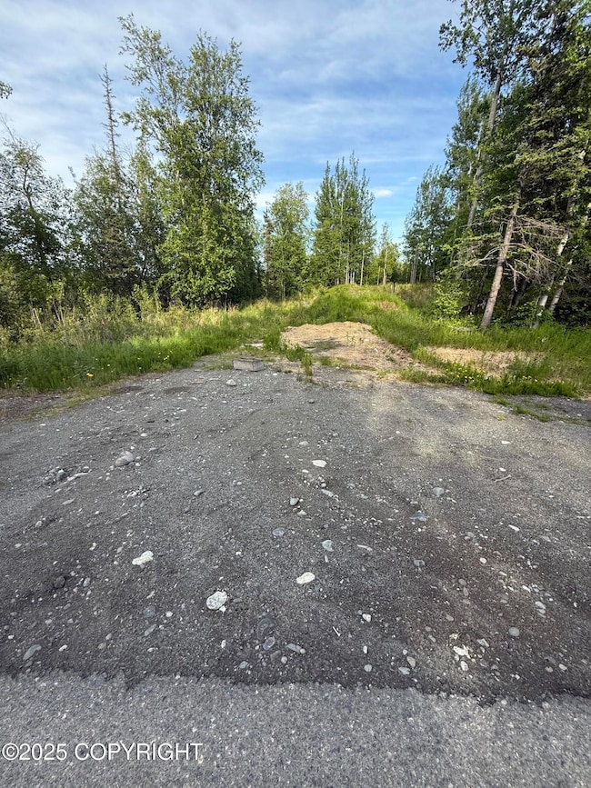 495 S Harriette St, Wasilla, AK 99654 - photo 3