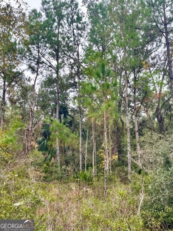 0 US Highway 98 unit 10649270, Perry, FL - photo 6