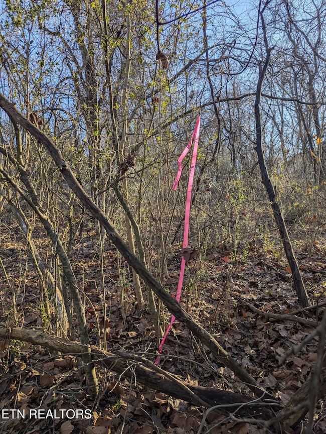 PXL_20250129_213618422