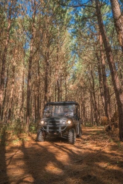 78.6 Ac Strickland Rd, Cairo, GA 39828 - photo 7