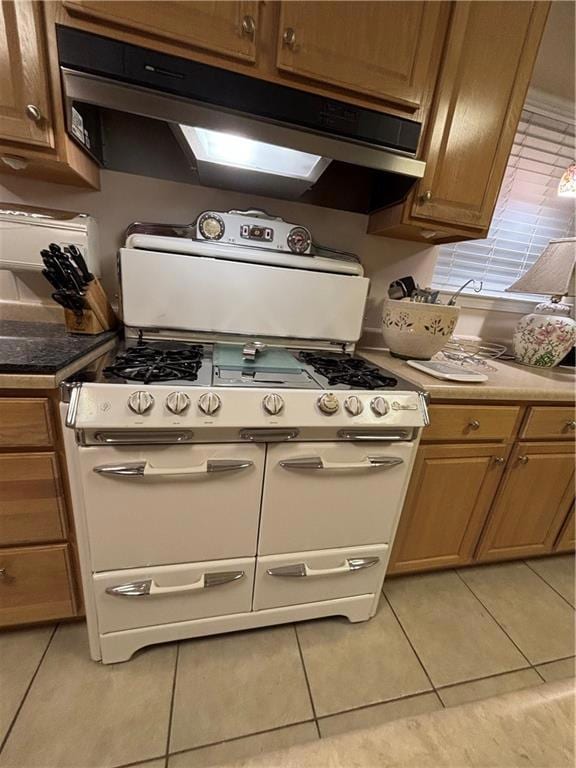 Chef's dream stove!