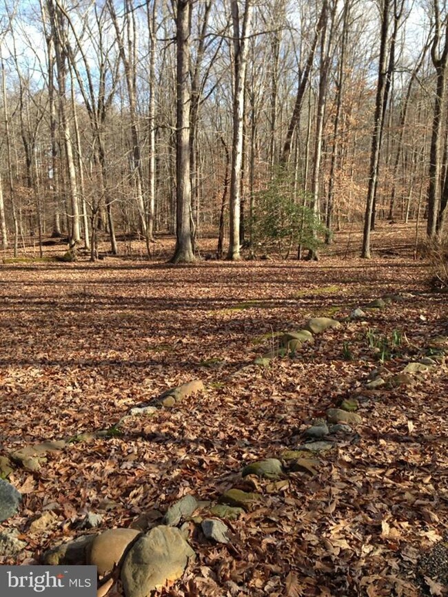 201 Hunters Ln, Centreville, MD 21617 - photo 7