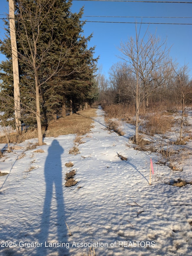 Easement 3