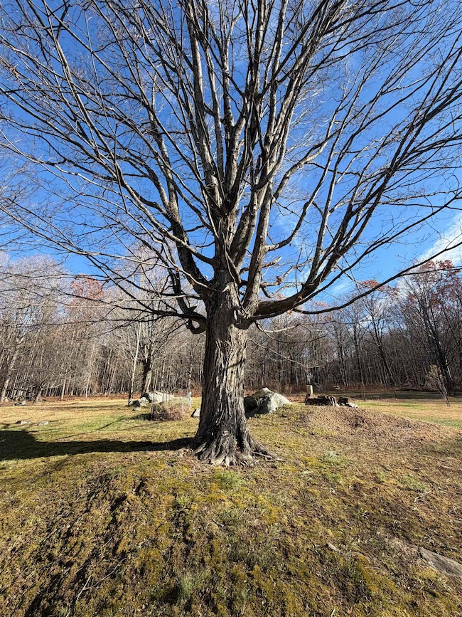 00 Pease Rd unit 3A, Meredith, NH 03253 - photo 2