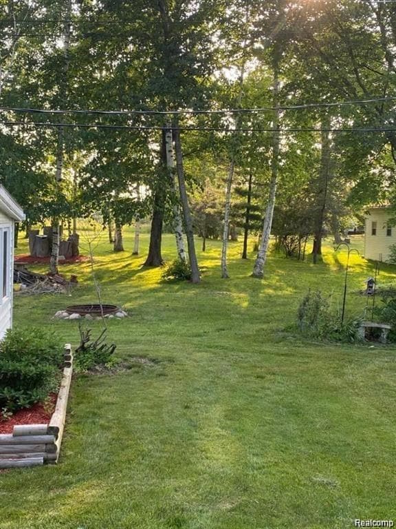 Back yard oasis