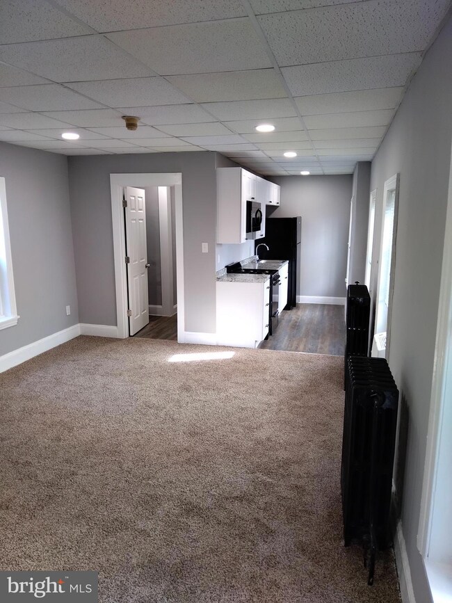 4329 Main St unit 1, Philadelphia, PA 19127 - photo 3