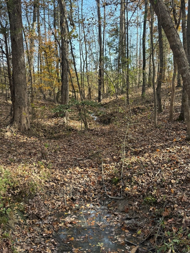 9654 State Road S-36-58, Kinards, SC 29355 - photo 7