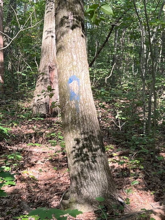 LOT 7 Southbridge Rd, Warren, MA 01083 - photo 2