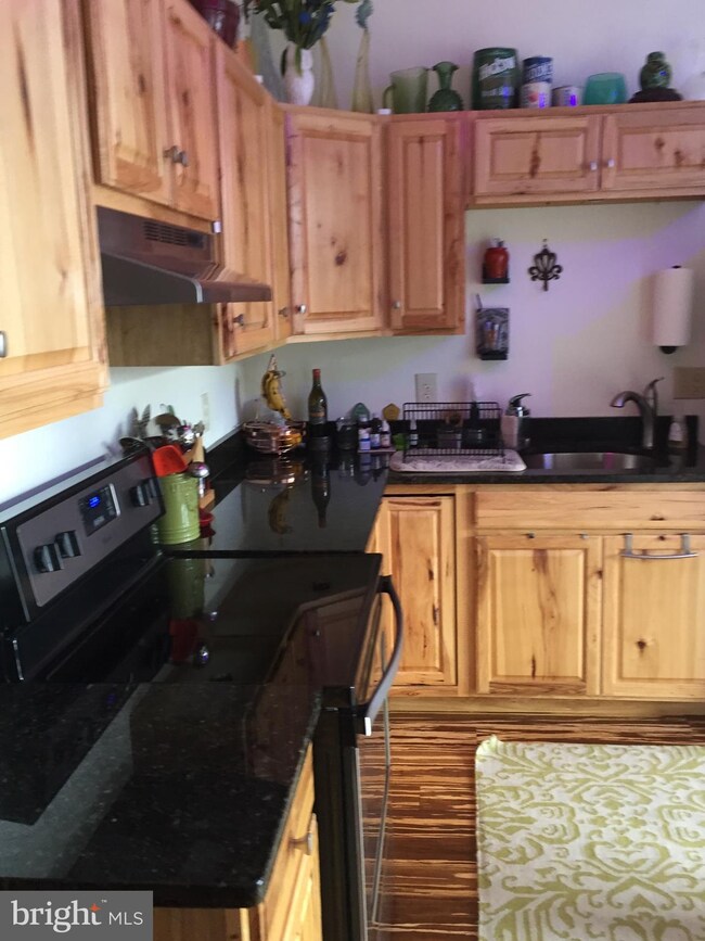 110 S Indian Aly unit 2, Winchester, VA 22601 - photo 4