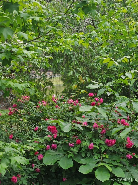 209 Remington Dr, Ruther Glen, VA 22546 - photo 5