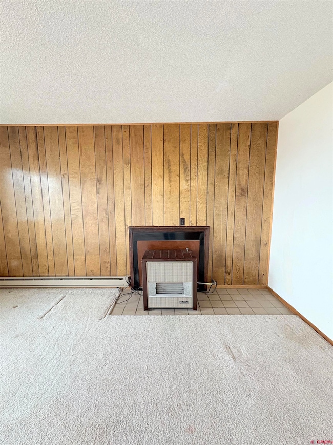 10728 Mesa View Dr, Austin, CO 81410 - photo 7