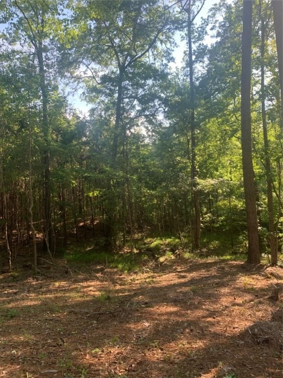 Lot 1 and 2 Amber Dr, Jacksons Gap, AL 36861 - photo 6