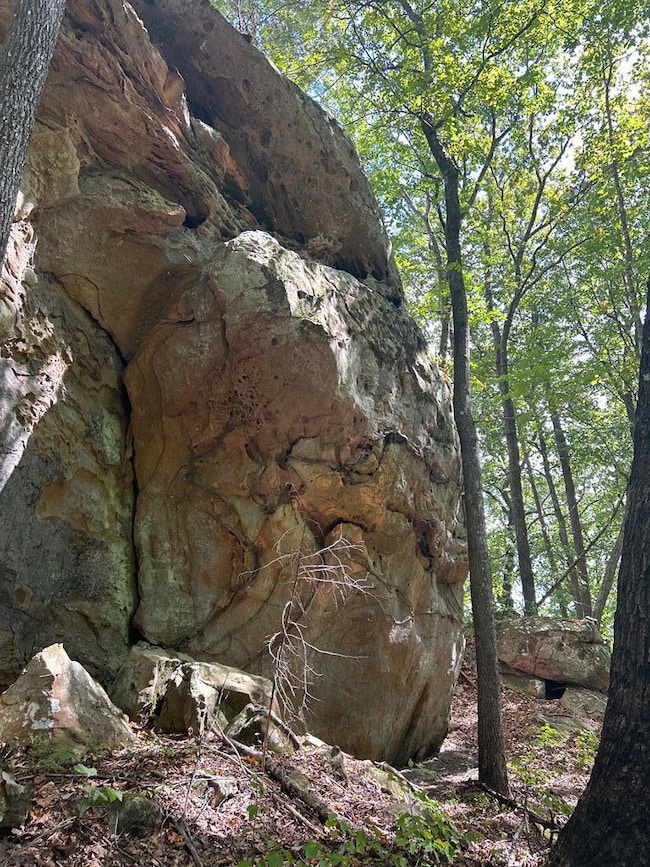 Lot 8 Junaluska Dr, Jamestown, TN 38556 - photo 3