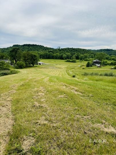 View from back tree line area