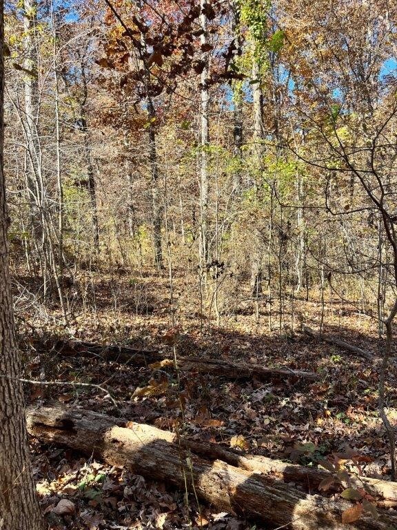 Lot 10 Eddy Ln, Bella Vista, AR 72715 - photo 2