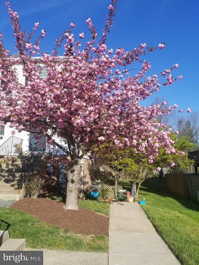 15047 Cherrywood Dr, Laurel, MD 20707 - photo 3