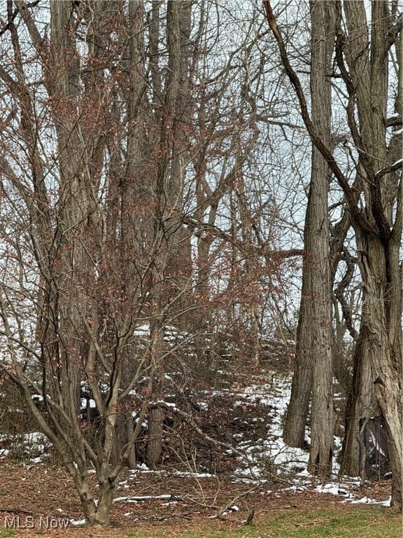 512 Ohio Ave, Martins Ferry, OH 43935 - photo 3