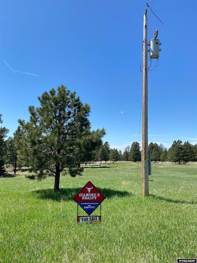 46B Two Pipe Trail, Sundance, WY 82729 - photo 4