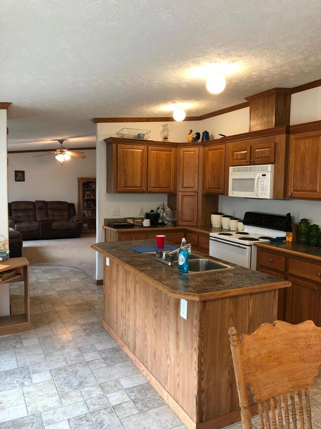 737 E 420th Rd, Bolivar, MO 65613 - photo 5