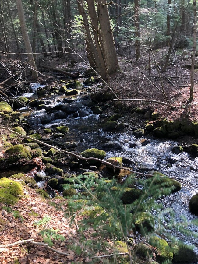 0 Hunt Lake Rd N unit 202116753, Hadley, NY 12835 - photo 3