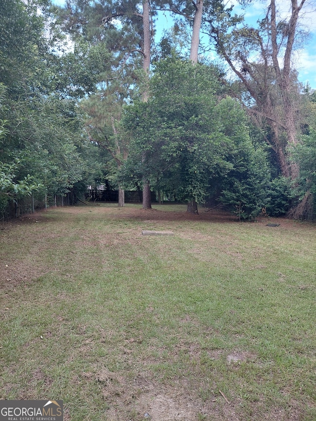 Backyard facing the rear