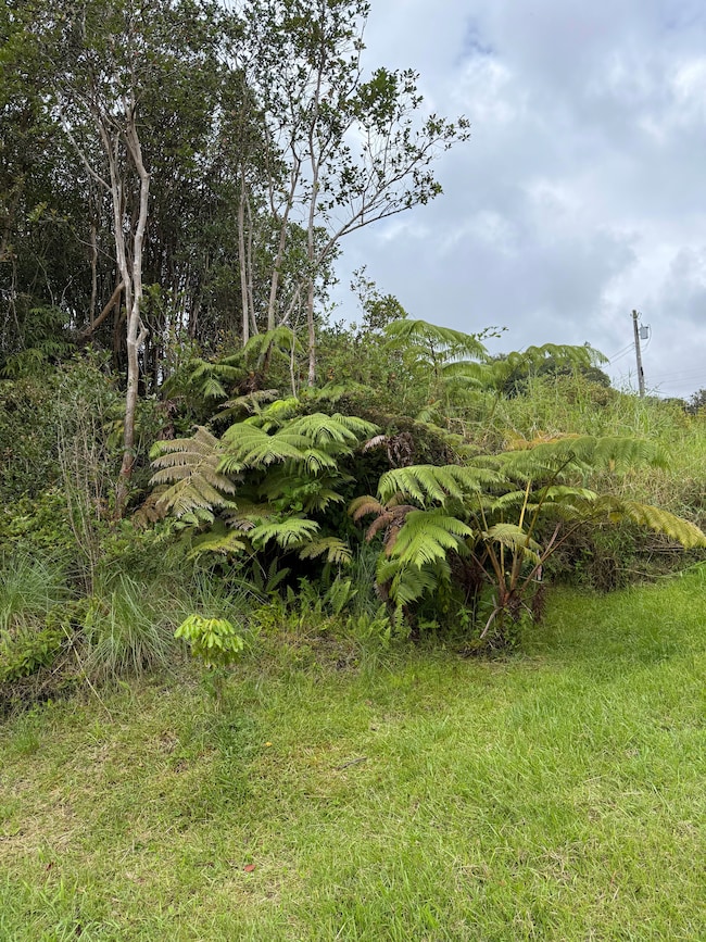 0 Hulu St, Mountain View, HI 96771 - photo 4