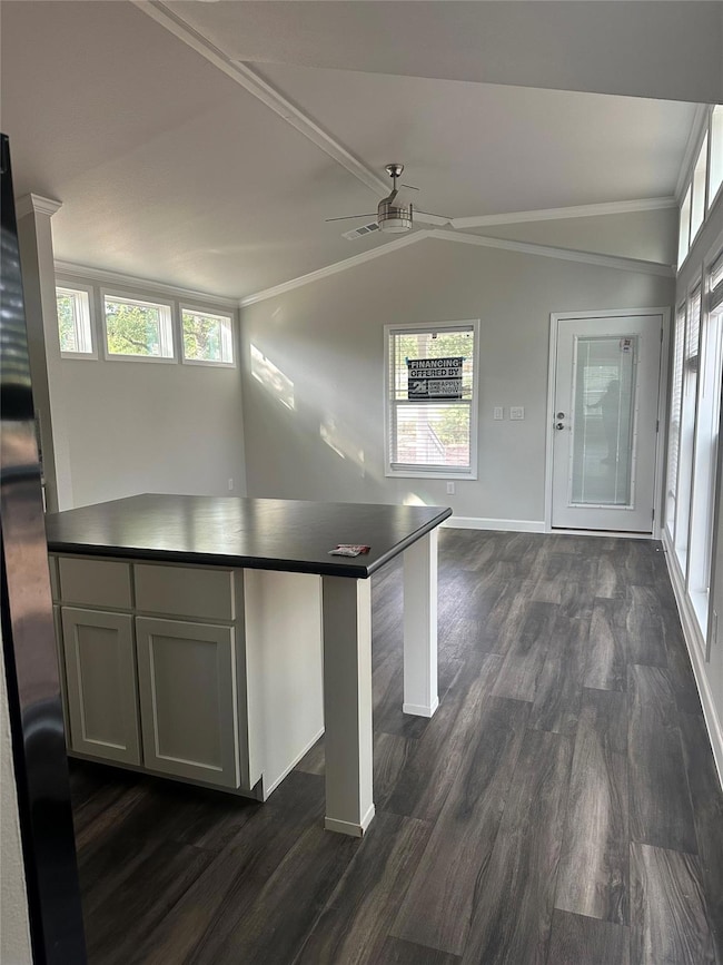 Kitchen featuring dark countertops, dark wood-typ