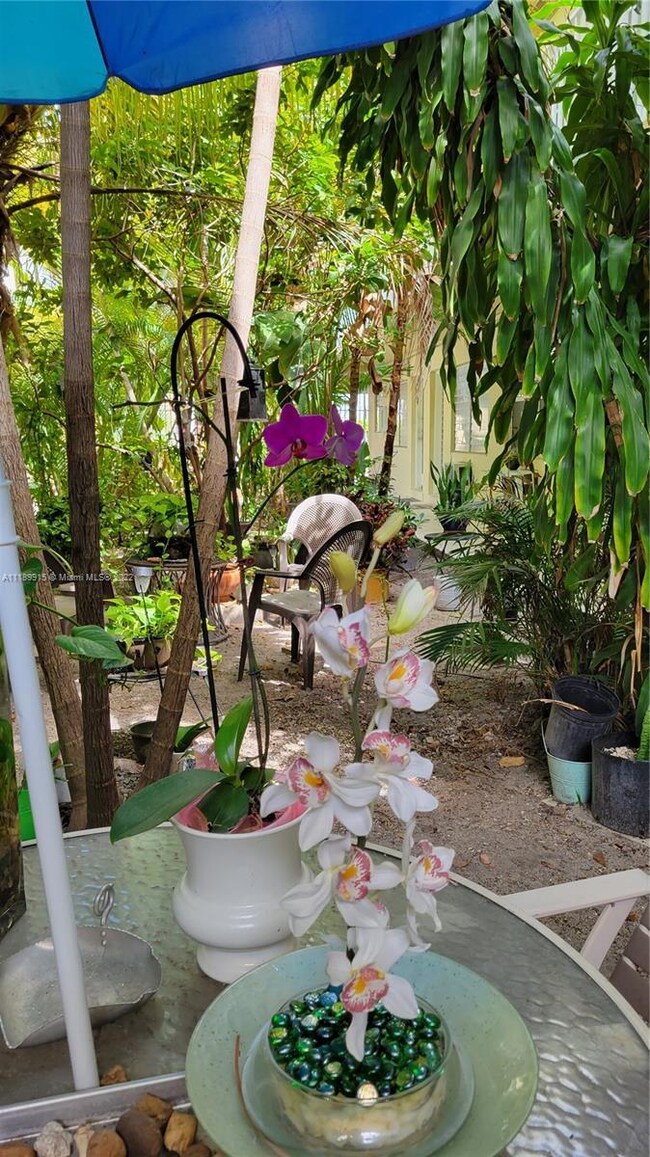 courtyard garden