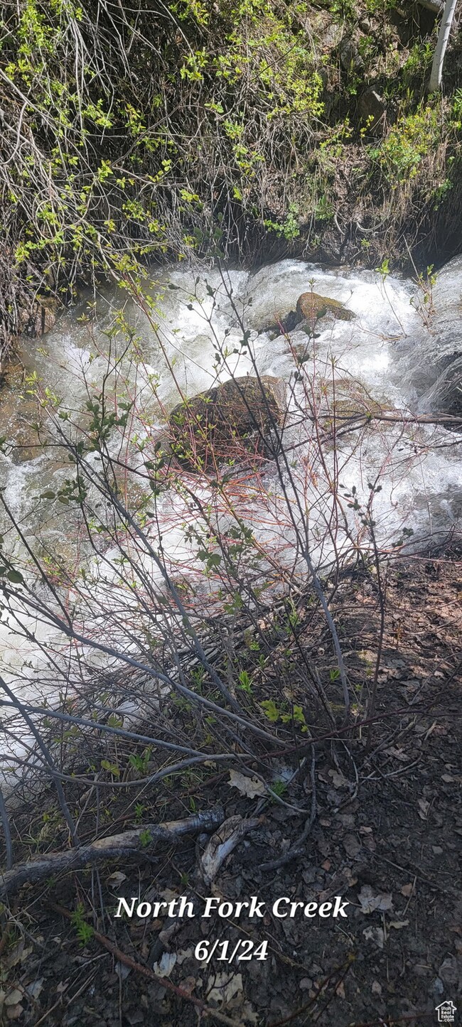 819 N Fork Rd unit 819, Mount Pleasant, UT 84629 - photo 3