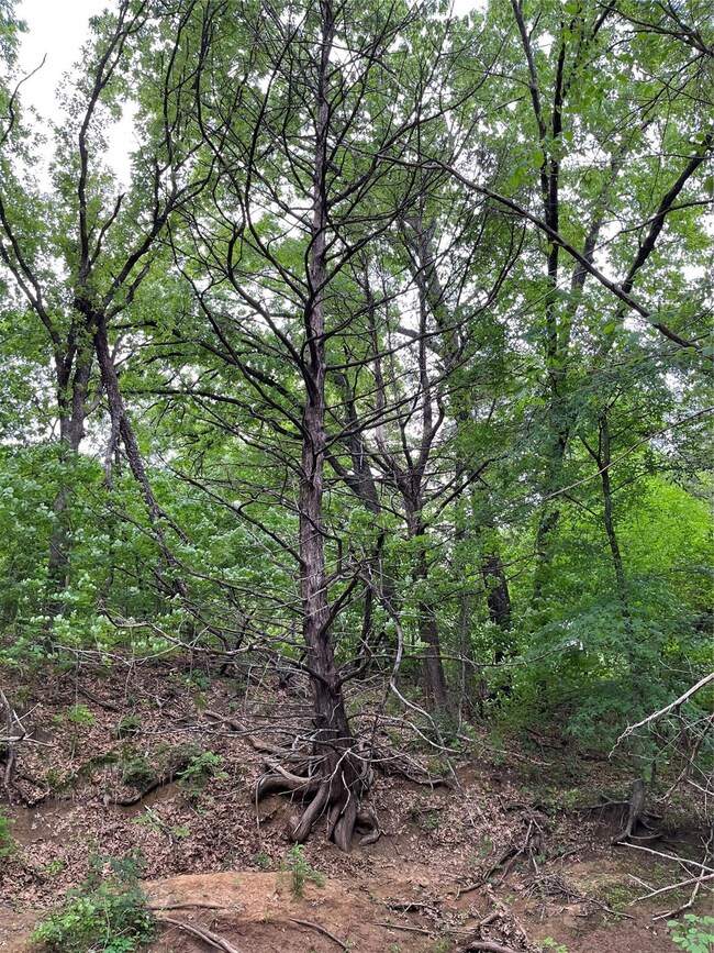 1968 Gordonville Rd, Gordonville, TX 76245 - photo 6