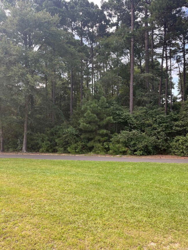 0 Pt Section 15 T17s-R15w unit 25031620, El Dorado, AR 71730 - photo 4