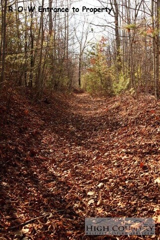 1531 Shell Creek Rd, Ferguson, NC 28624 - photo 4