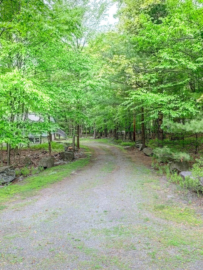 202 Lake Forest Dr, Dingmans Ferry, PA 18328 - photo 3