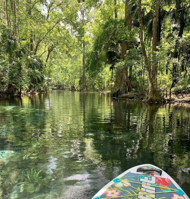 4 Fisher Trace, Ocklawaha, FL 32179 - photo 6