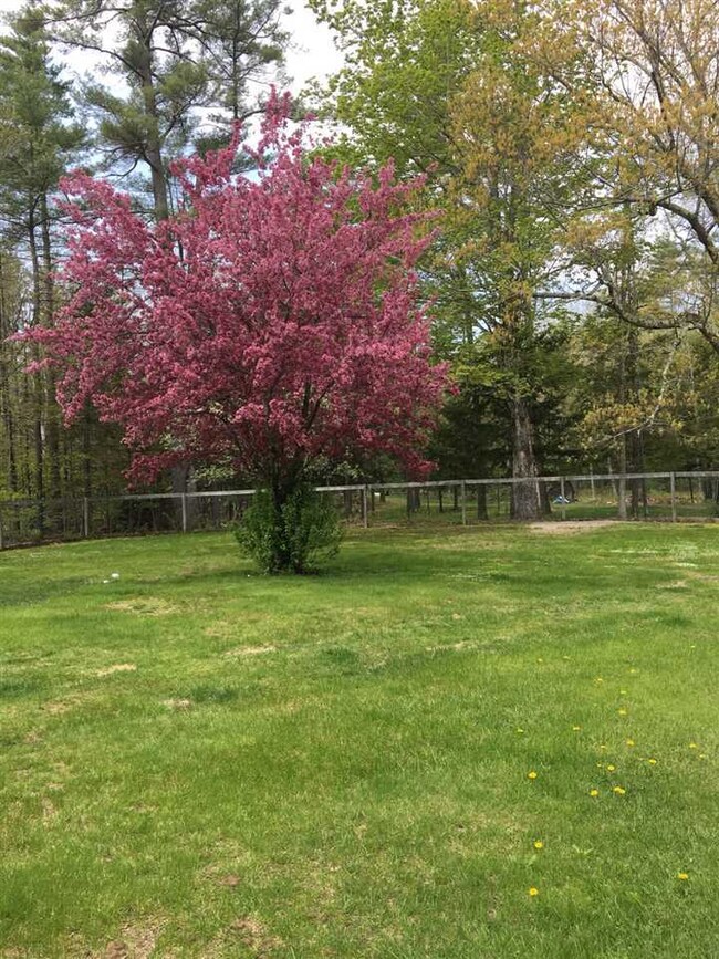 182 Sodom Rd, Moultonborough, NH 03254 - photo 2